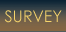 Survey